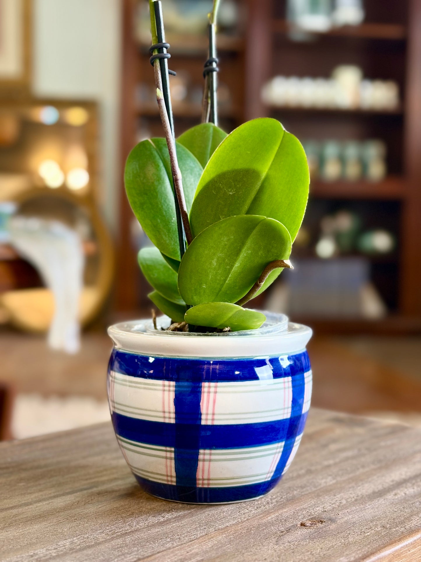 Plaid Green/Blue/Pink Planter