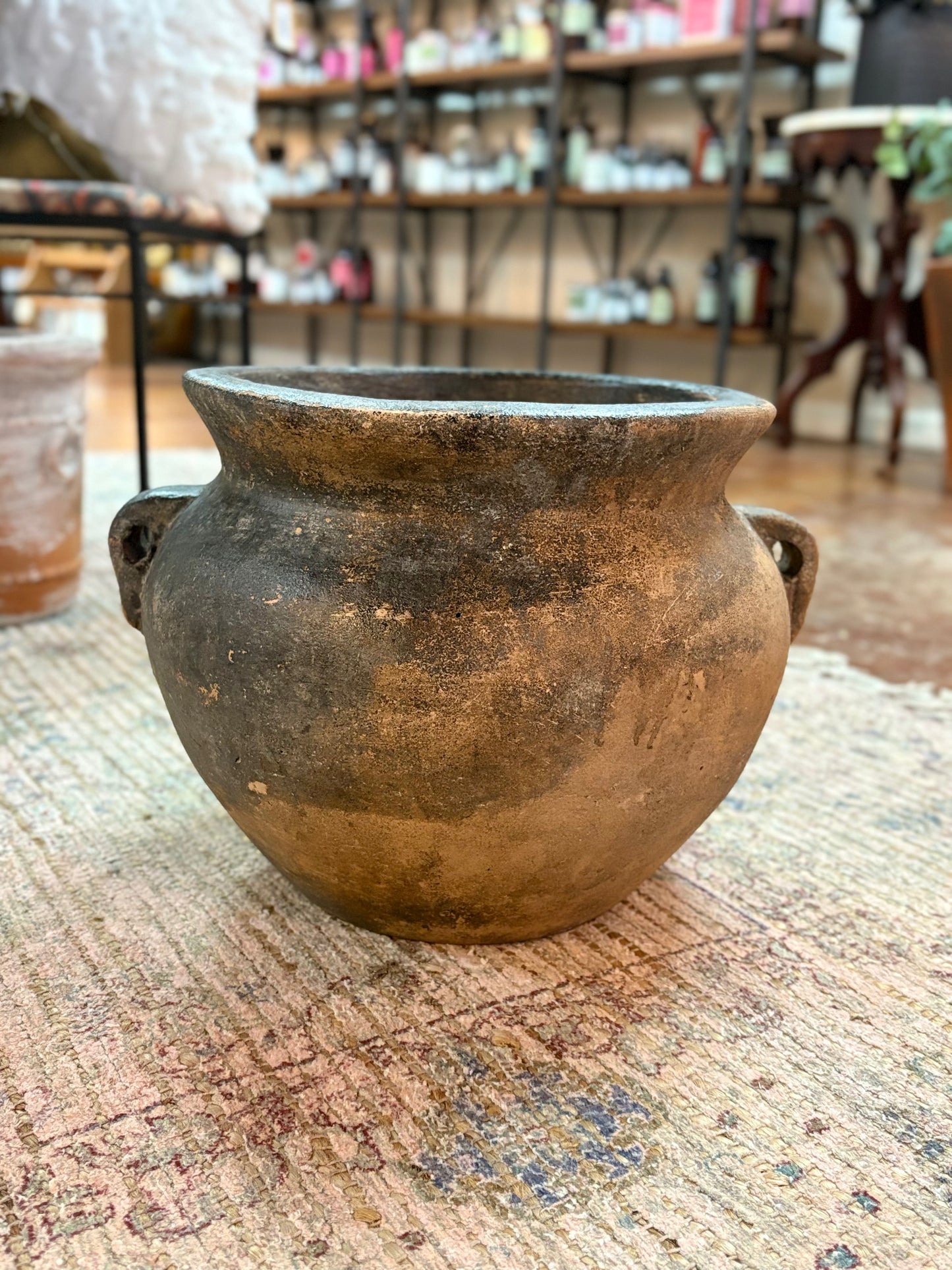 Medium Vase Style with Handle Planter