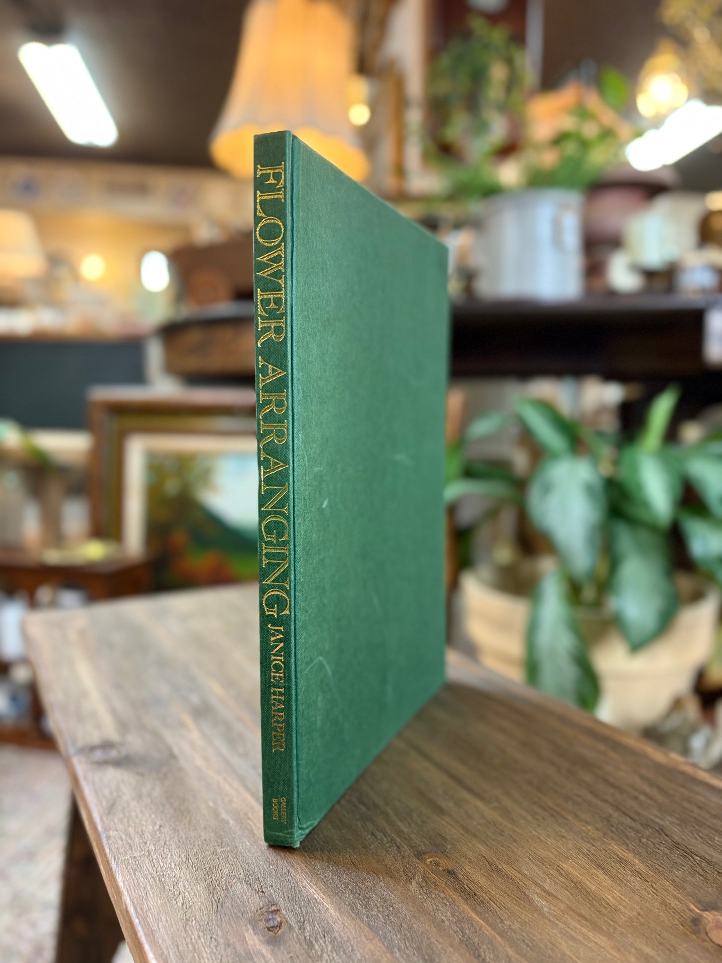 Vintage Book