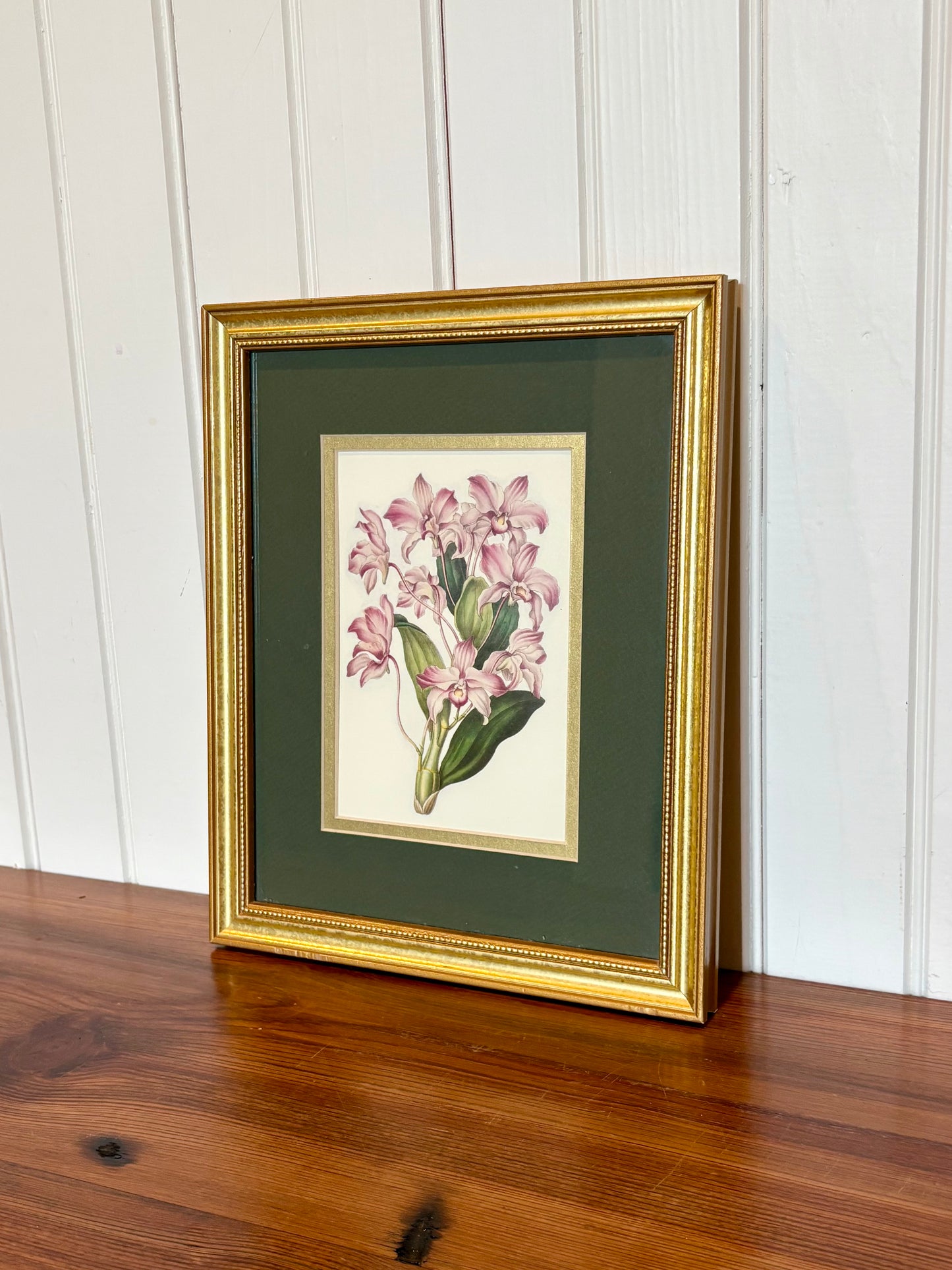 Vintage Gold Framed Orchid Print