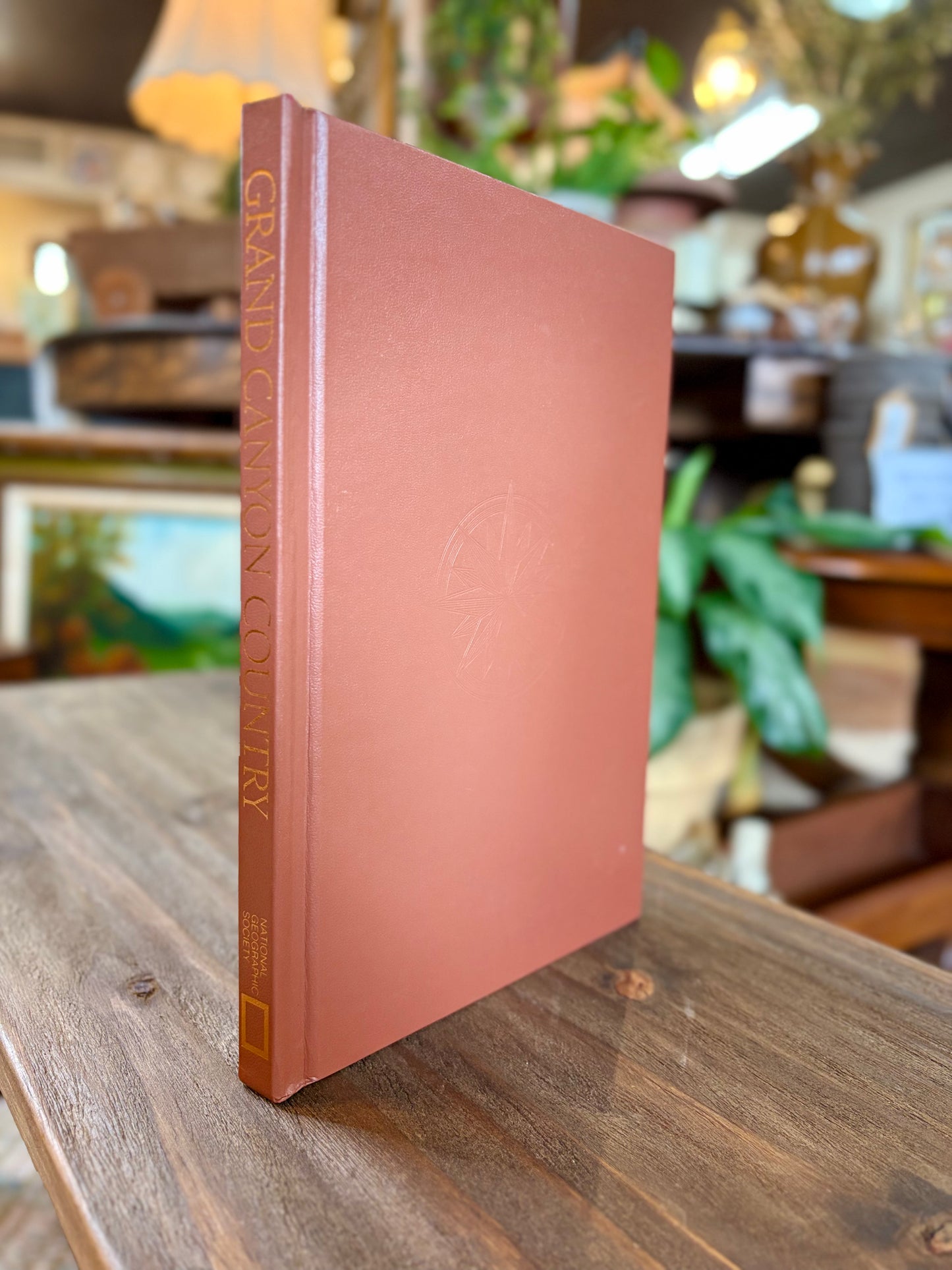 Vintage Book