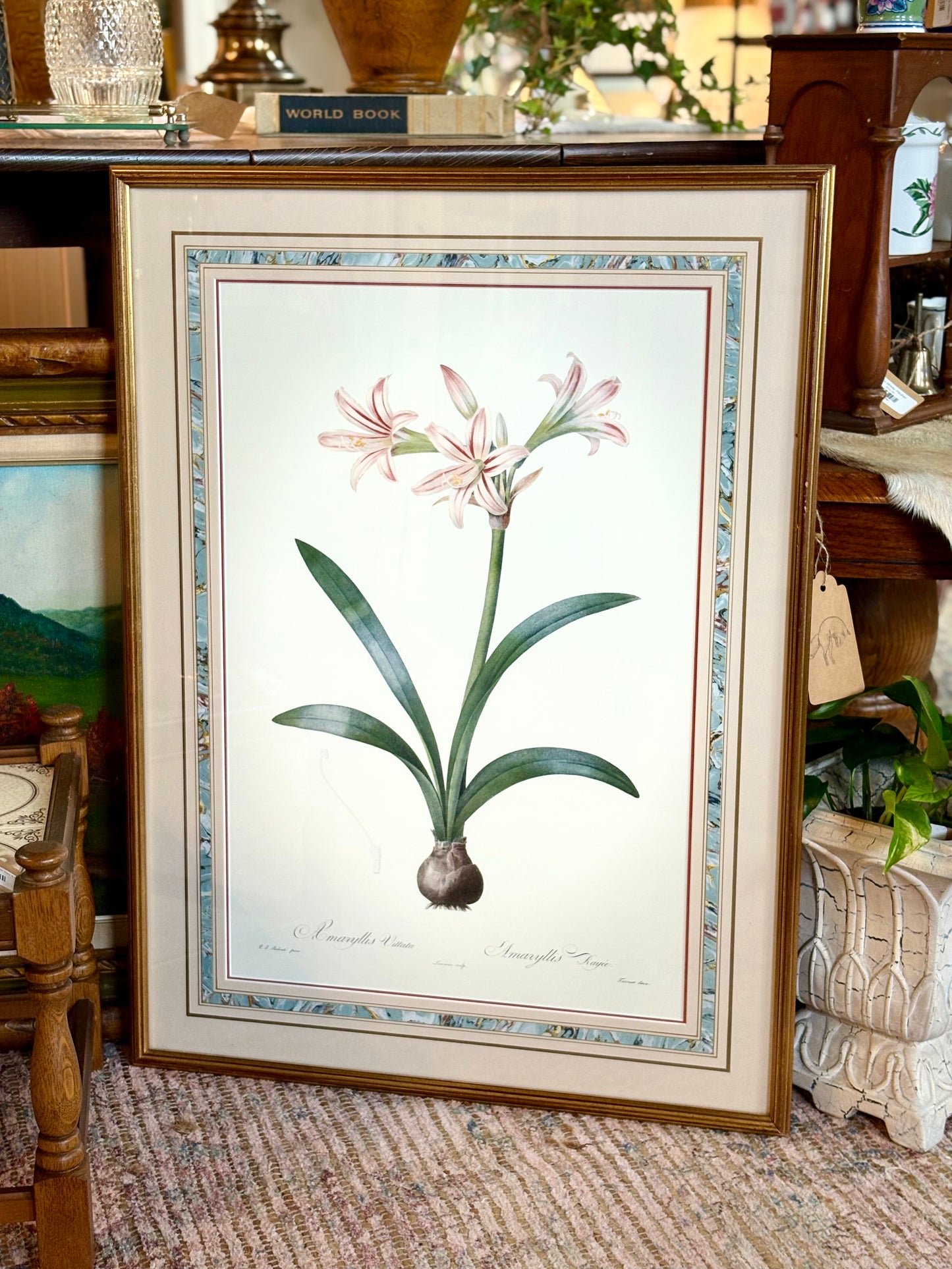 Amarylis Botanical Print