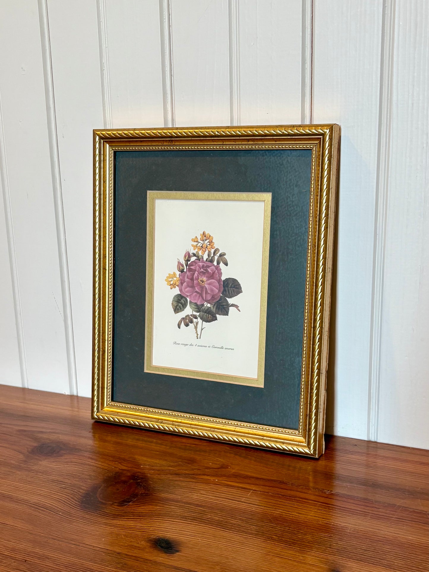 Vintage Gold Framed Rose Print