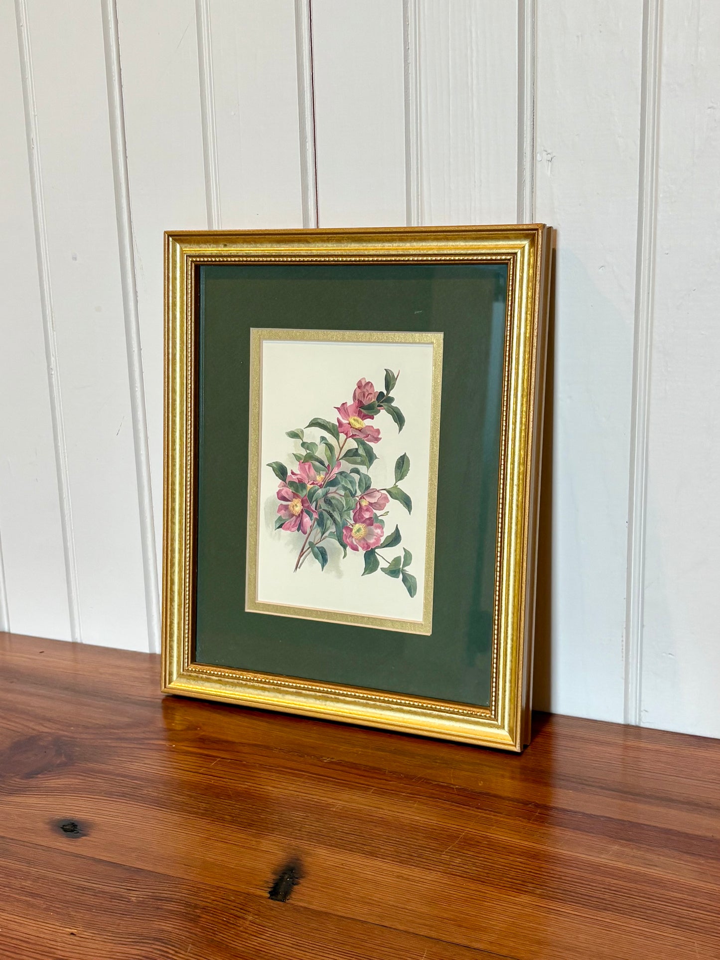 Vintage Gold Framed Pink Camellia Print