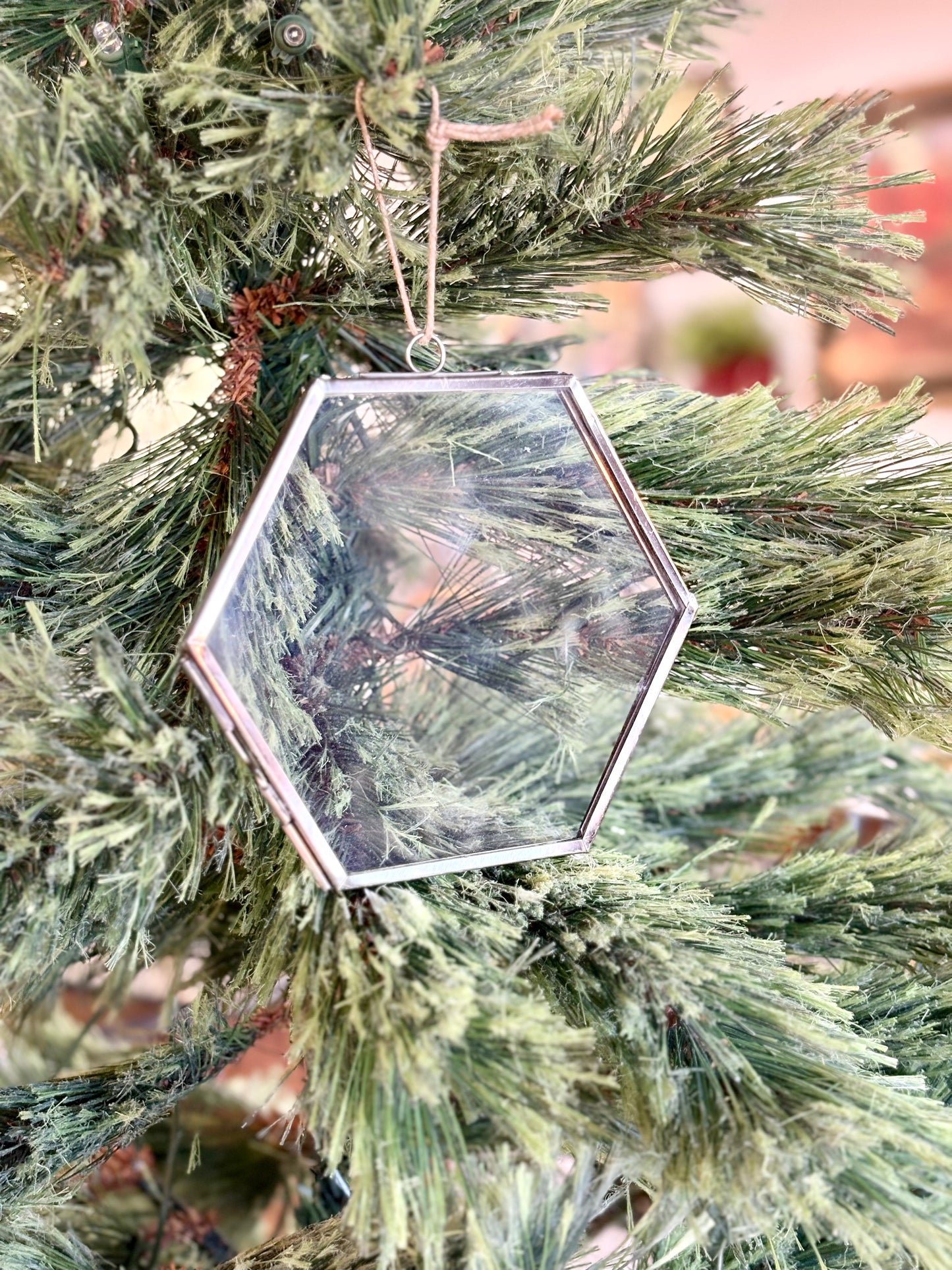 Silver Glass Hexagon Frame 4.5"