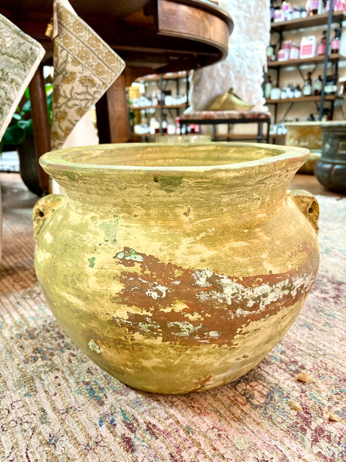 Large Vase Style Planter with Handle Detail