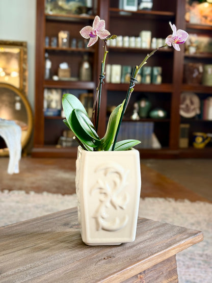 Cream Square Vase with Scroll Detail