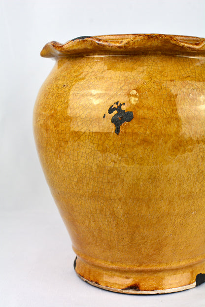 Mustard Glazed Vase with Ruffled Edge Detail
