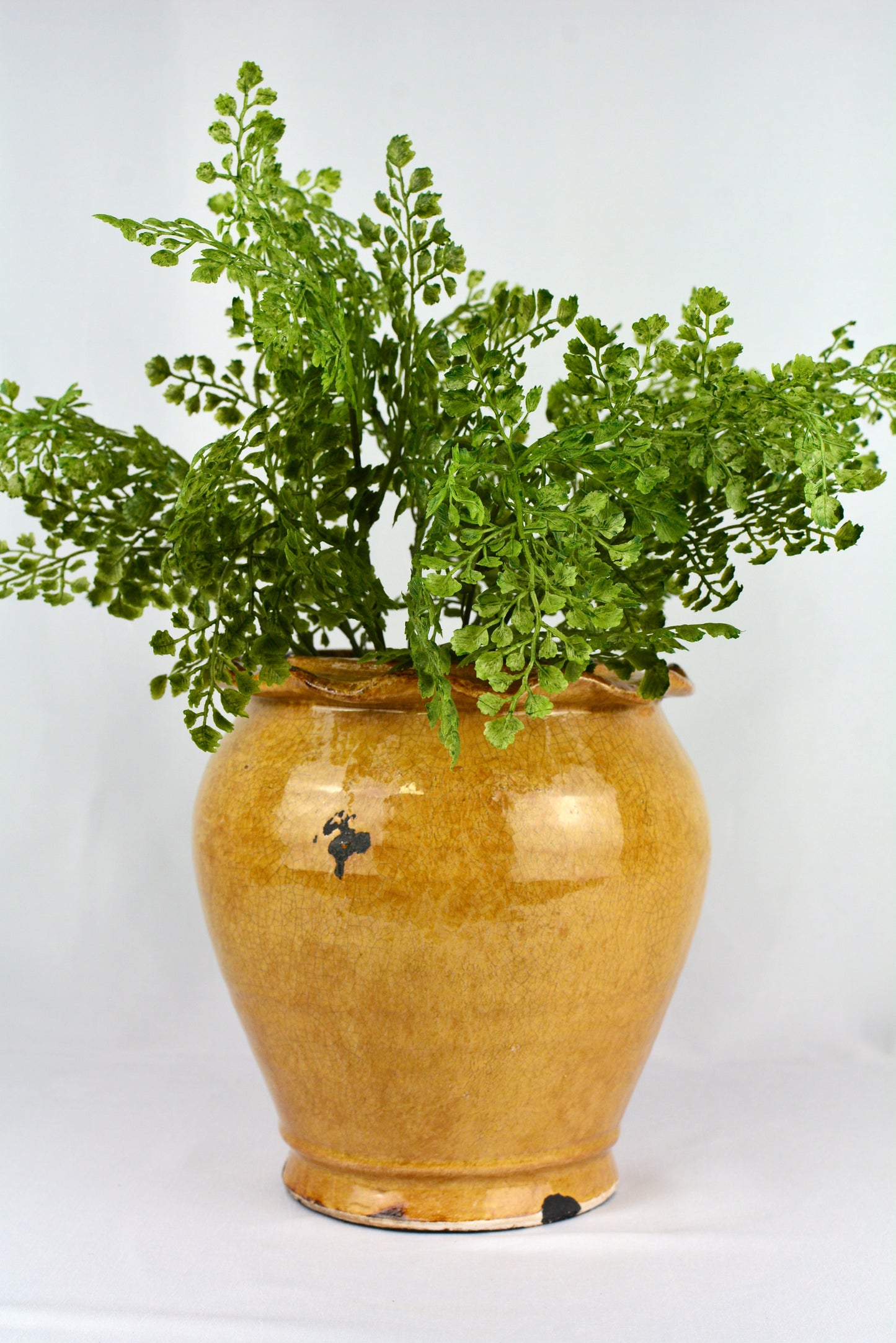 Mustard Glazed Vase with Ruffled Edge Detail