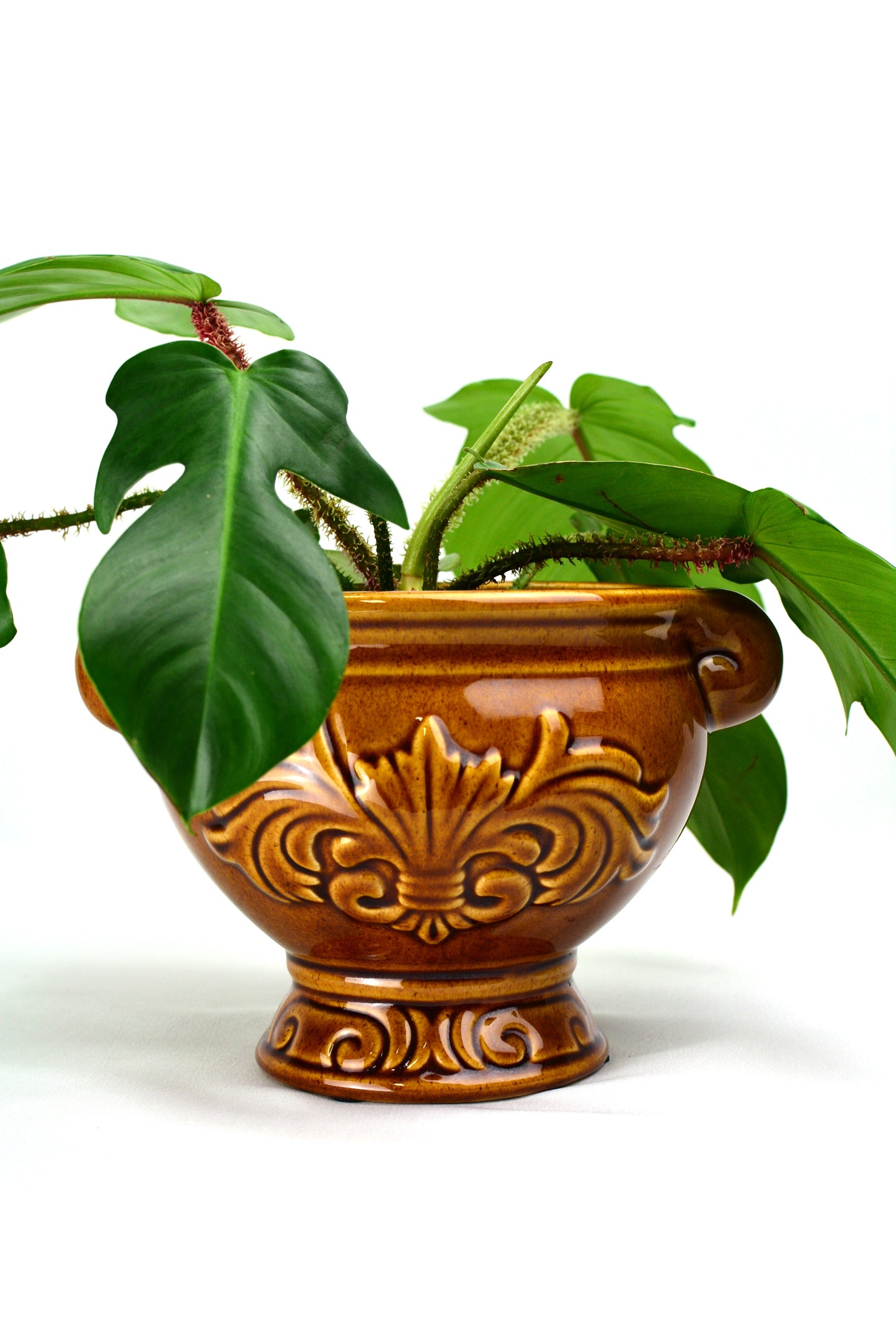 Vintage Amber Glaze Planter with Ornate Details