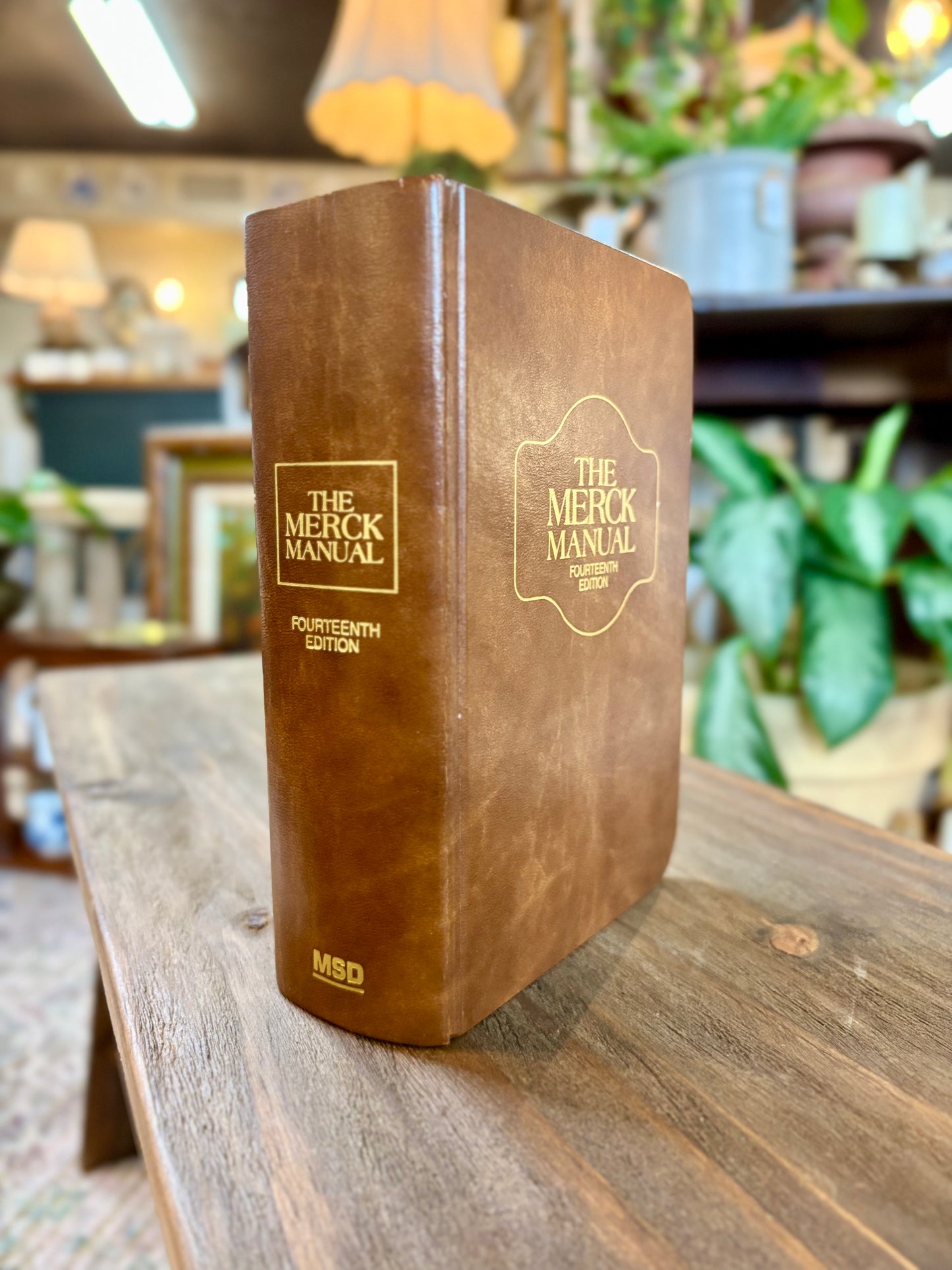 Vintage Book