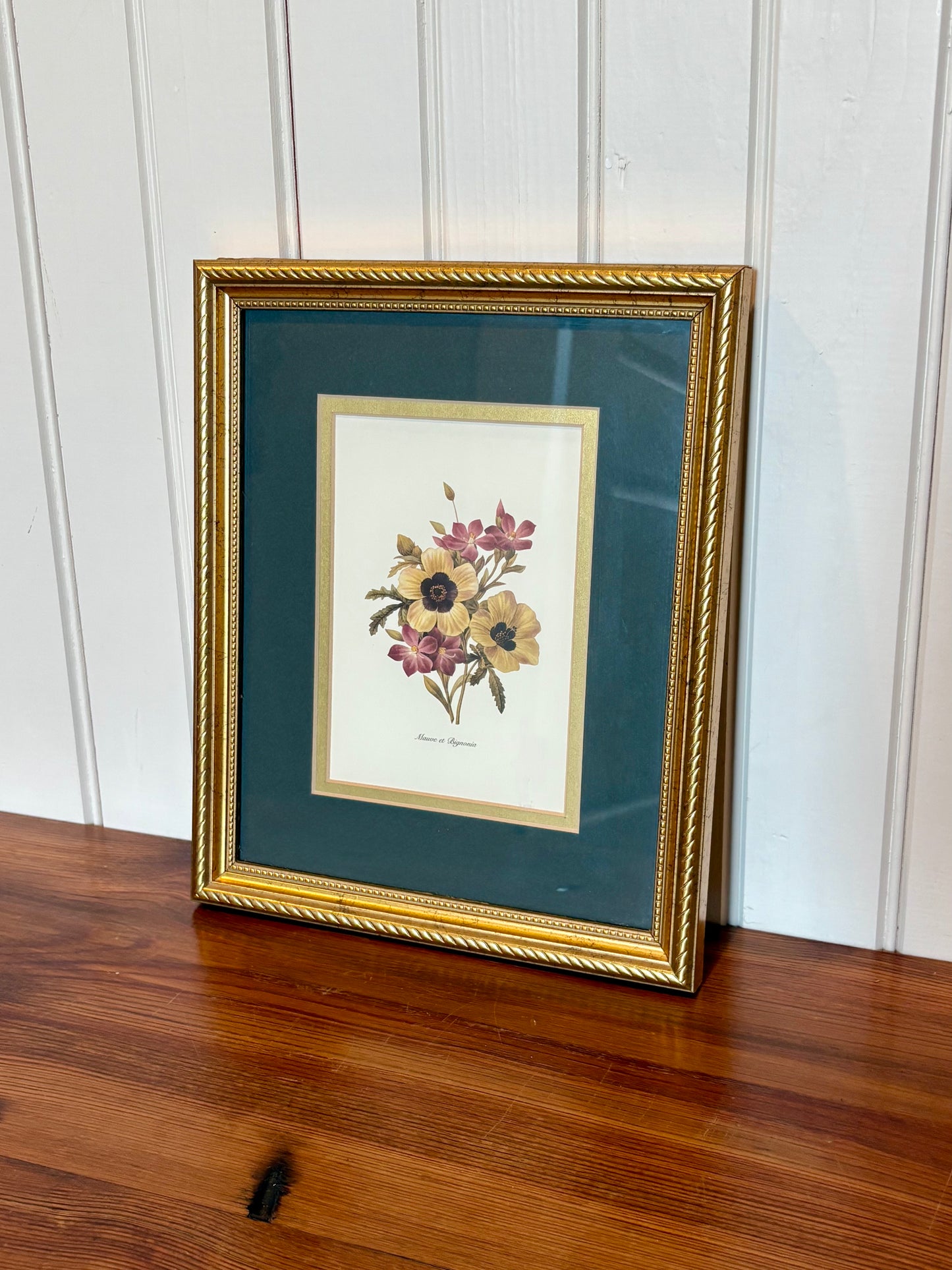 Vintage Gold Framed Bignonia Print