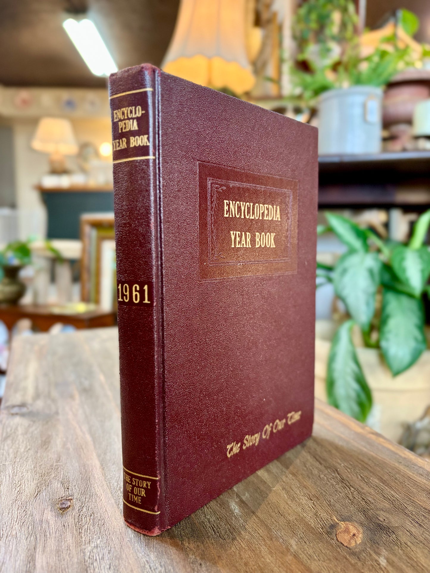 Vintage Book