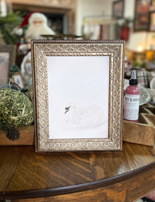 Swan Framed Art
