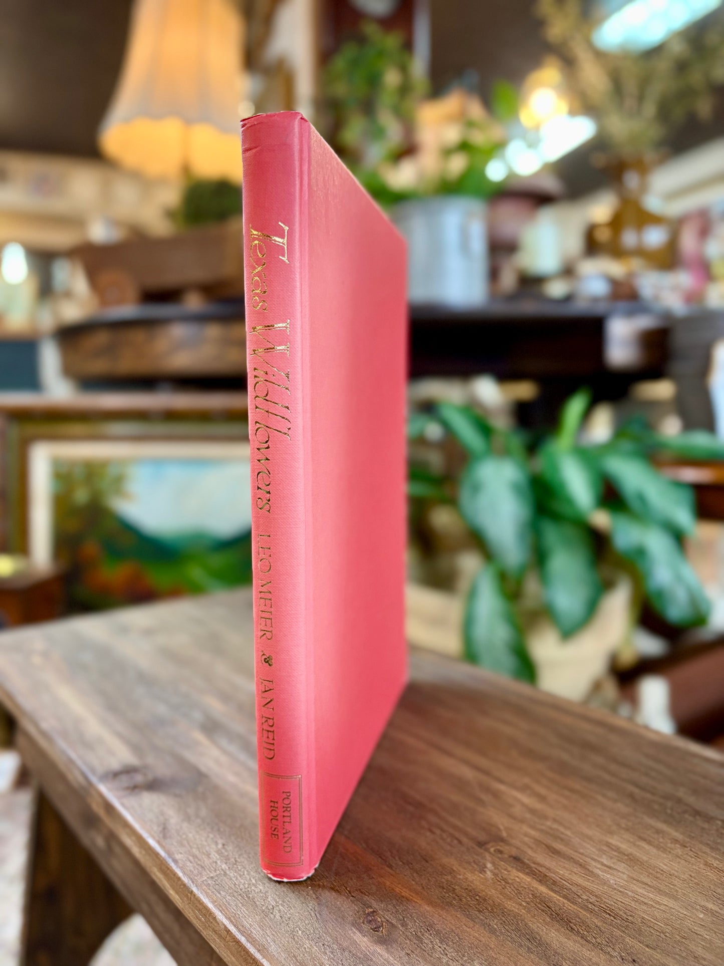 Vintage Book