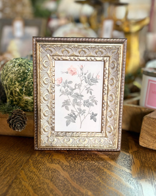 Rosa Framed Art
