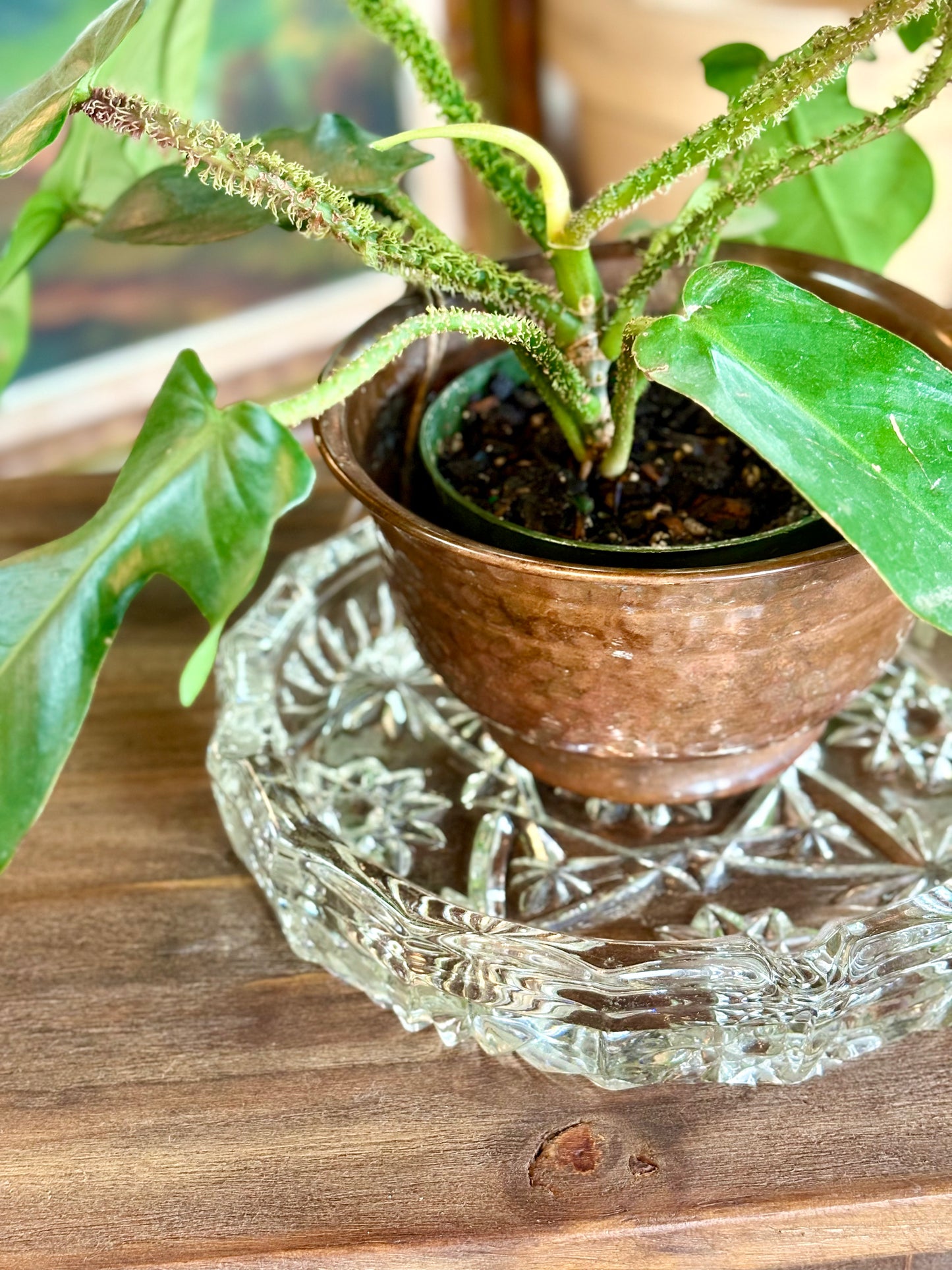 Star of David Crystal Ash Tray