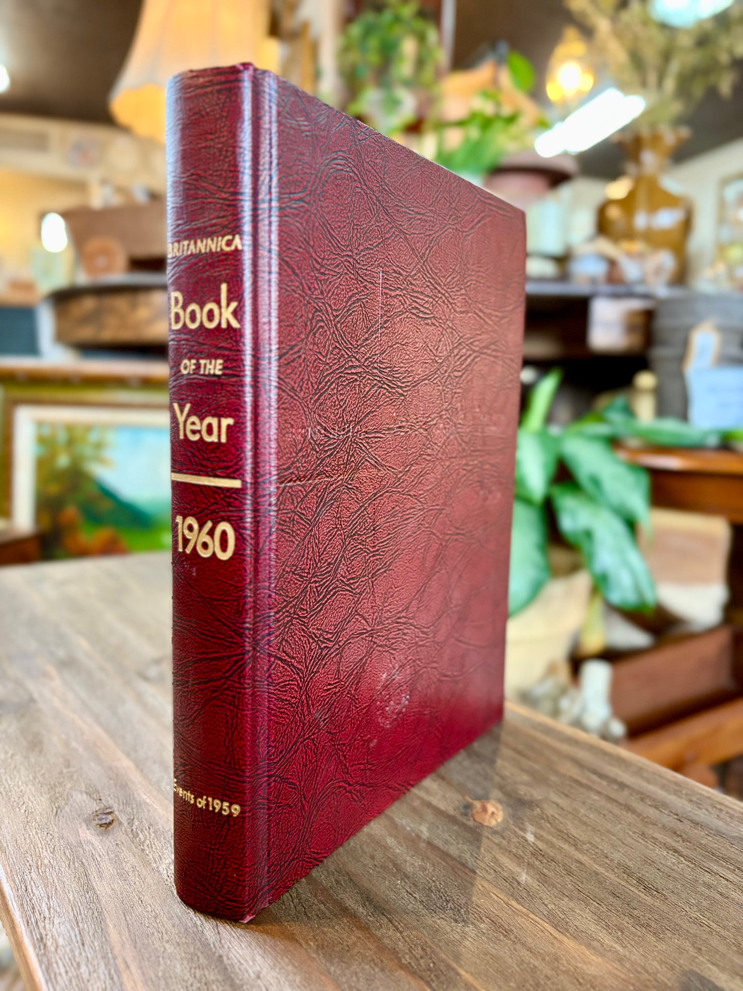 Vintage Book